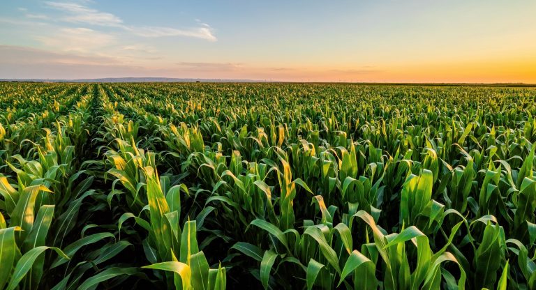 Agrochemicals