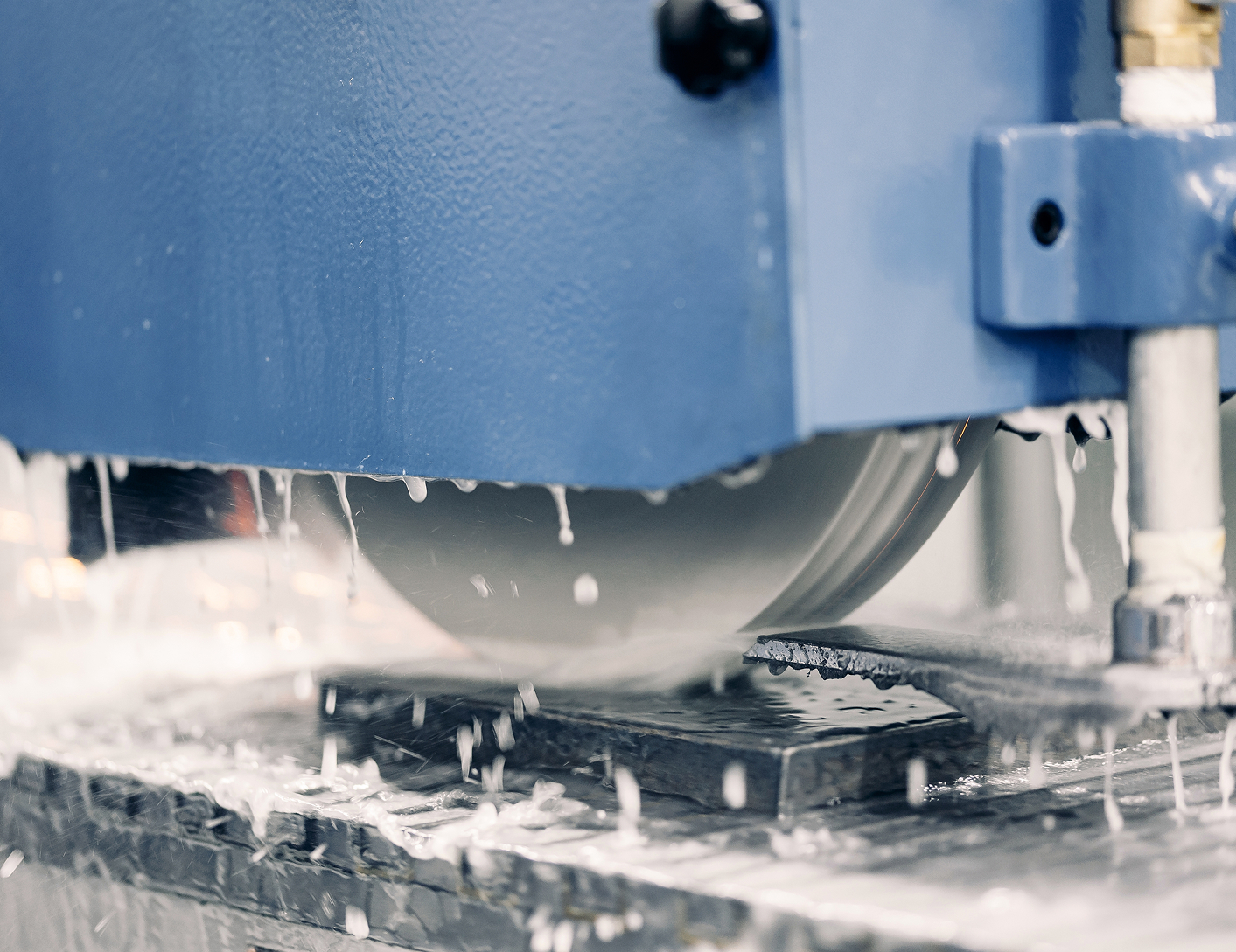 Explore emulsifier solutions